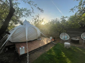 Sirbaggia glamping